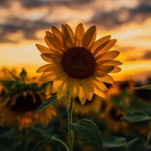 Meet your Posher, Mariah